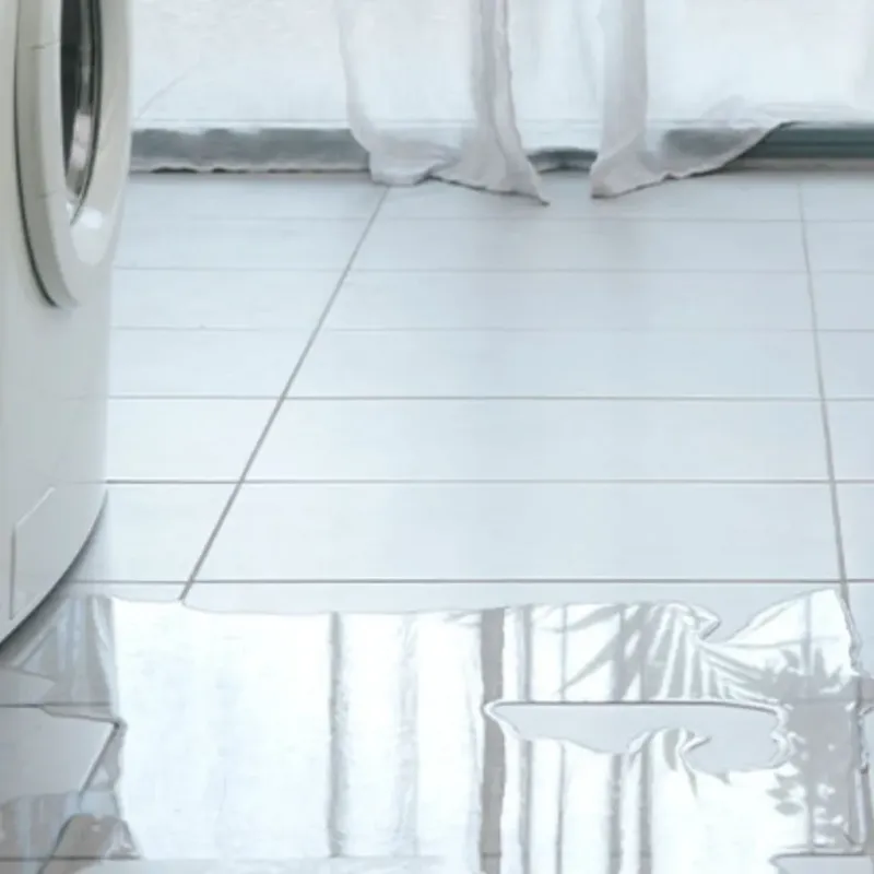 Appliance Leak Cleanup in Stafford, TX